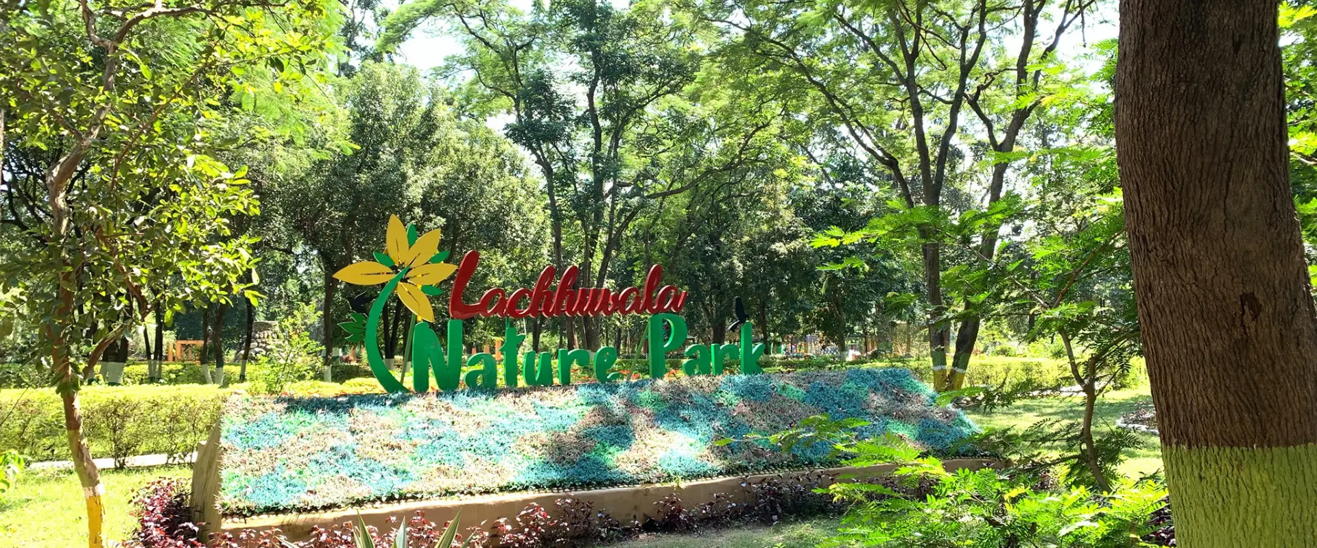 Lacchiwalla: Nature's Delight