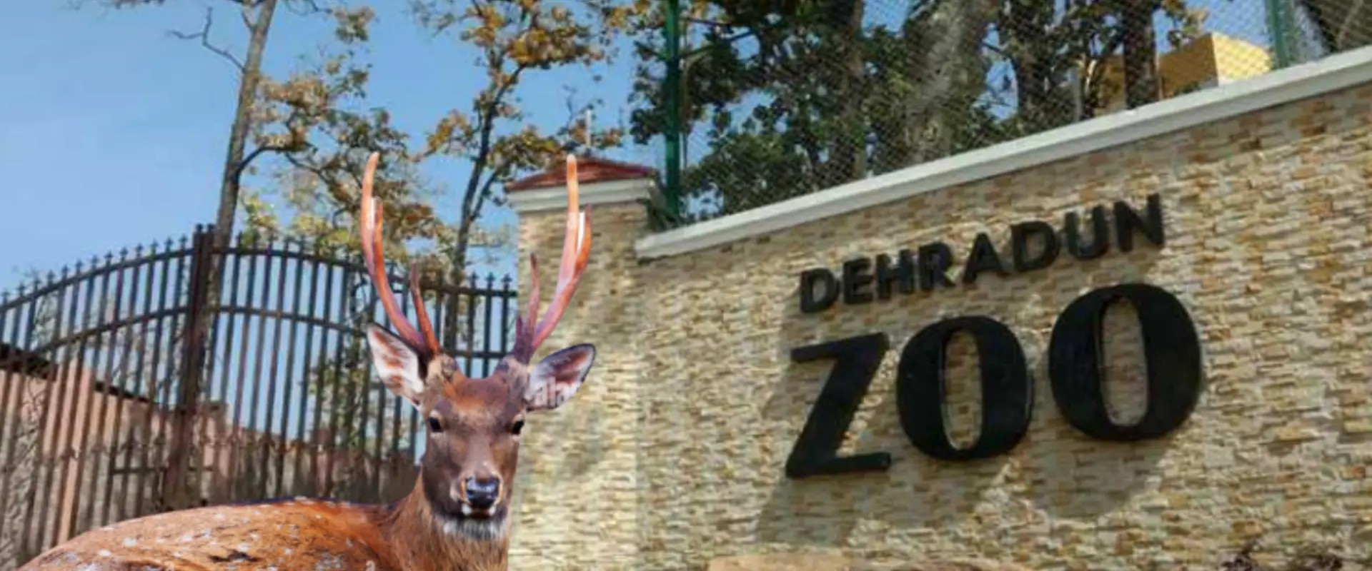 Malsi Deer Park