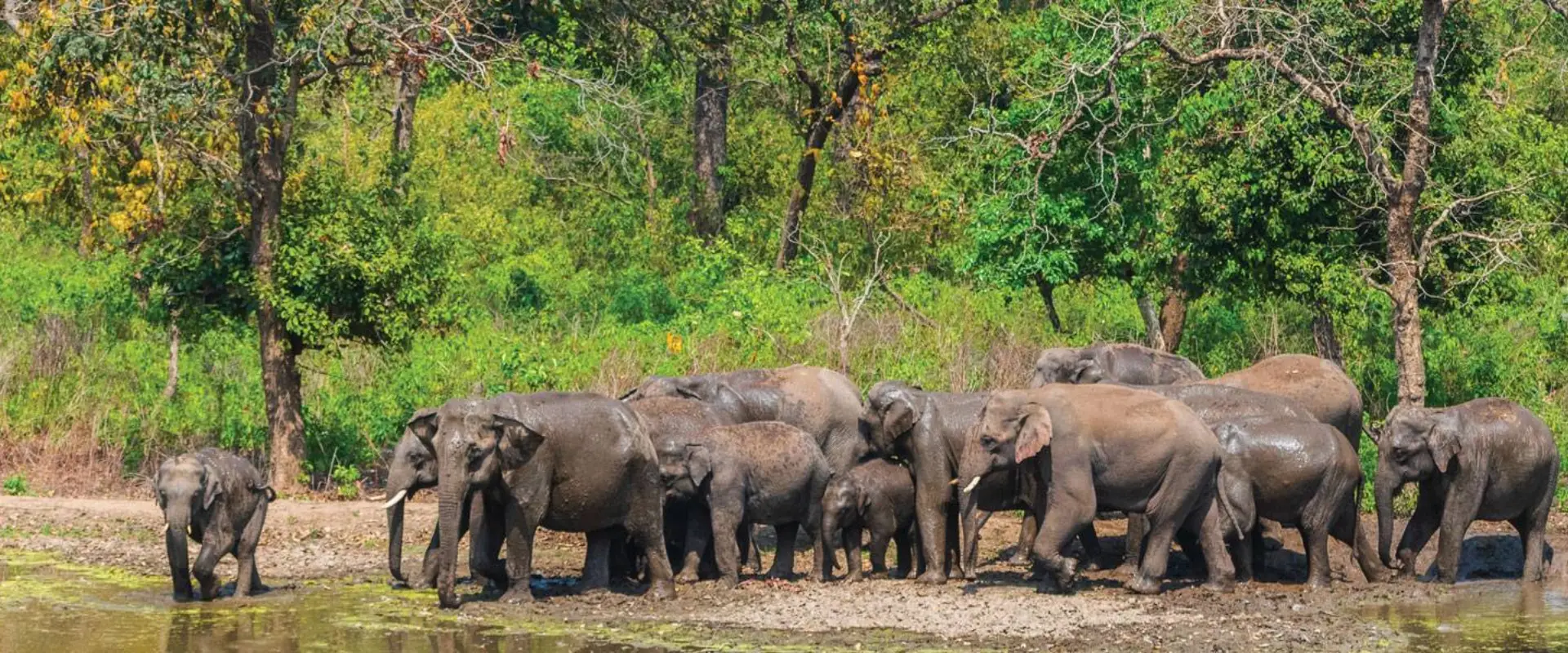 Rajaji National Park